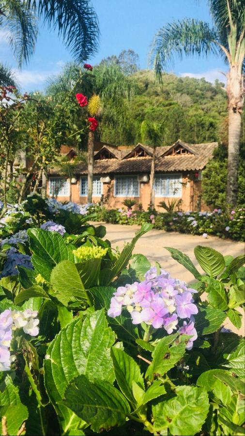 Hortênsias Sao Bonifacio